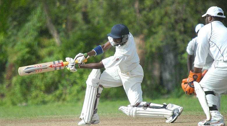 Cricket