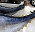 Fisheries Sector in Dominica