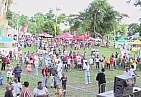 Creole in the Park
