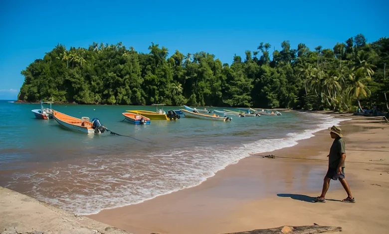 Anse De Mai