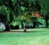 Dominica Botanic Gardens