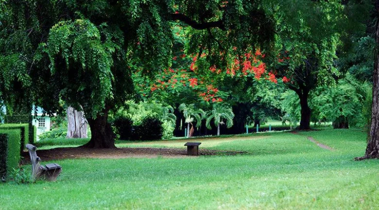 Dominica Botanic Gardens