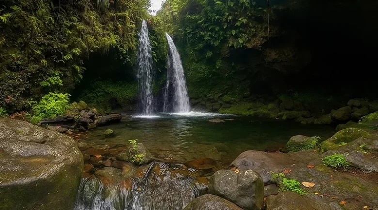 Biodiversity of Dominica