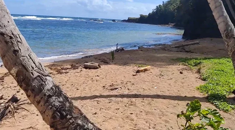 Marigot