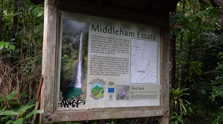 Middleham Falls