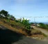 Morne Jaune, Dominica