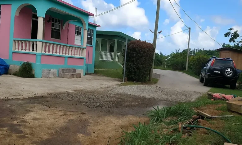 Riviere Cyrique in Dominica