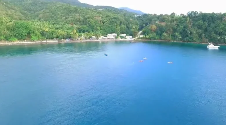 Toucari