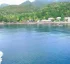 Toucari