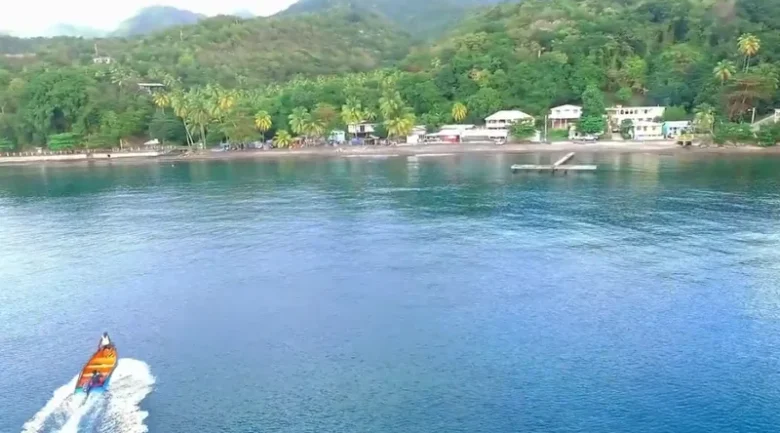 Toucari