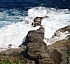 L’Escalier Tête Chien