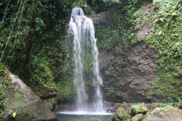 Natural Resources in Dominica