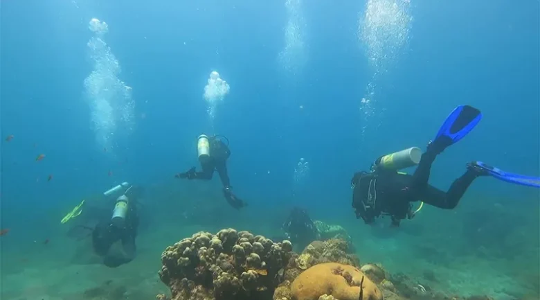 Champagne Reef
