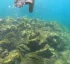 Champagne Reef