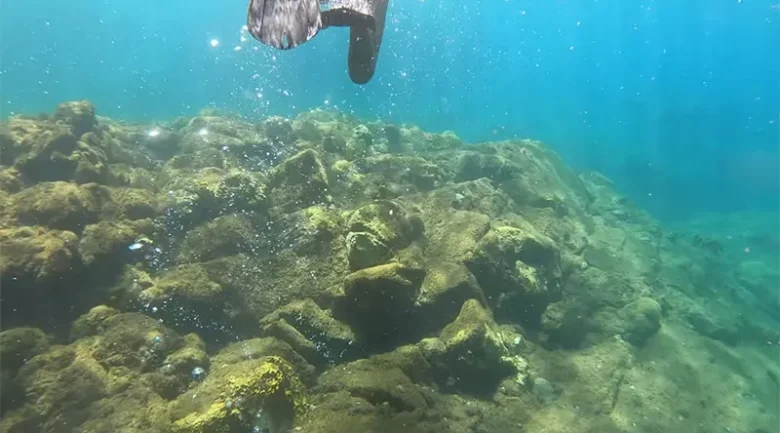 Champagne Reef