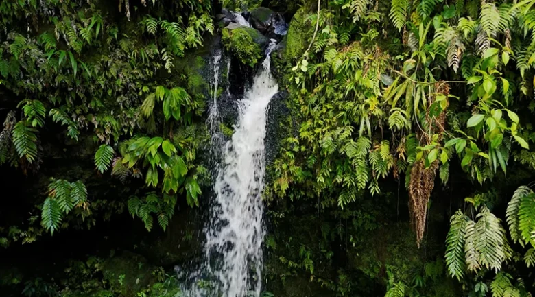 Emerald Pool