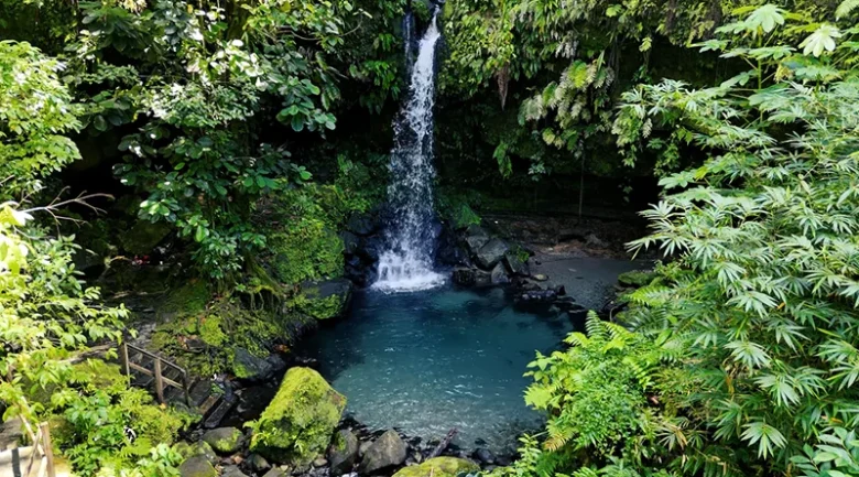Nature Isle