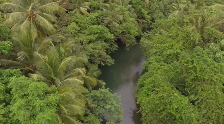 Indian River