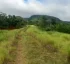 Morne aux Diables