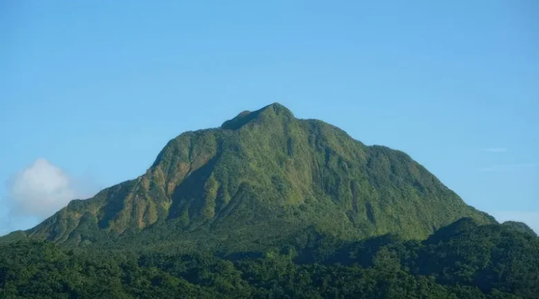 Morne Watt