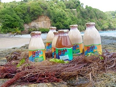 Benjo's Seamoss & Agro Processing Co Ltd