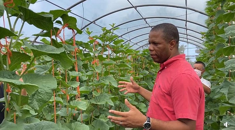 Green Economy in Dominica