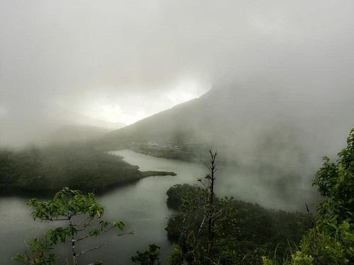 Rainforests of Dominica