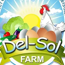 https://www.dom767.com/media/2020/09/delsols-farm-logo.webp