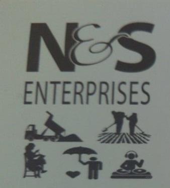 https://www.dom767.com/media/2020/10/ns-enterprises-logo.jpg