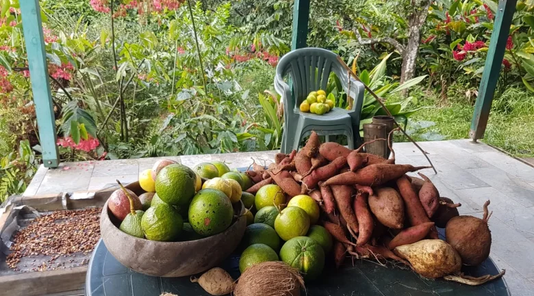 Farming in Dominica