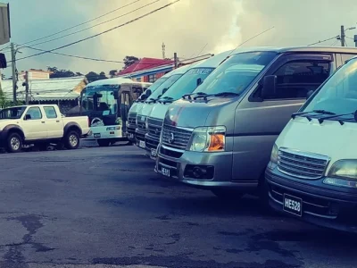 Buses Waiting for Cruise Passengers Dominica Bayfront in Roseau