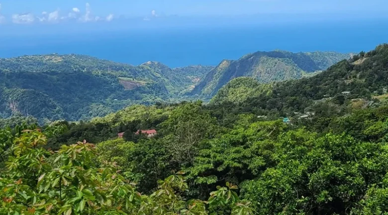 Interior of Dominica