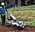 Agricultural Sector