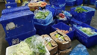 Fresh Produce for Import