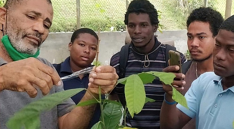 Farming in Dominica