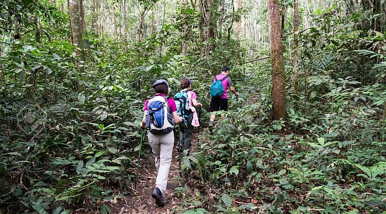 Hiking in Dominica