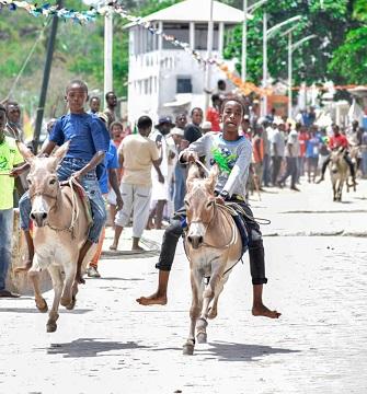 Donkey Derby Race