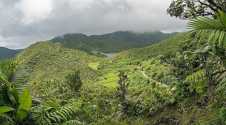 Interior of Dominica