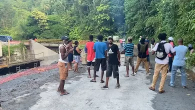 Protesters at Castle Bruce