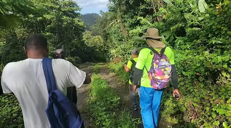 Hiking in Dominica