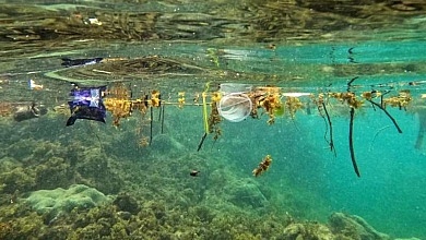 Waste in Sea Water