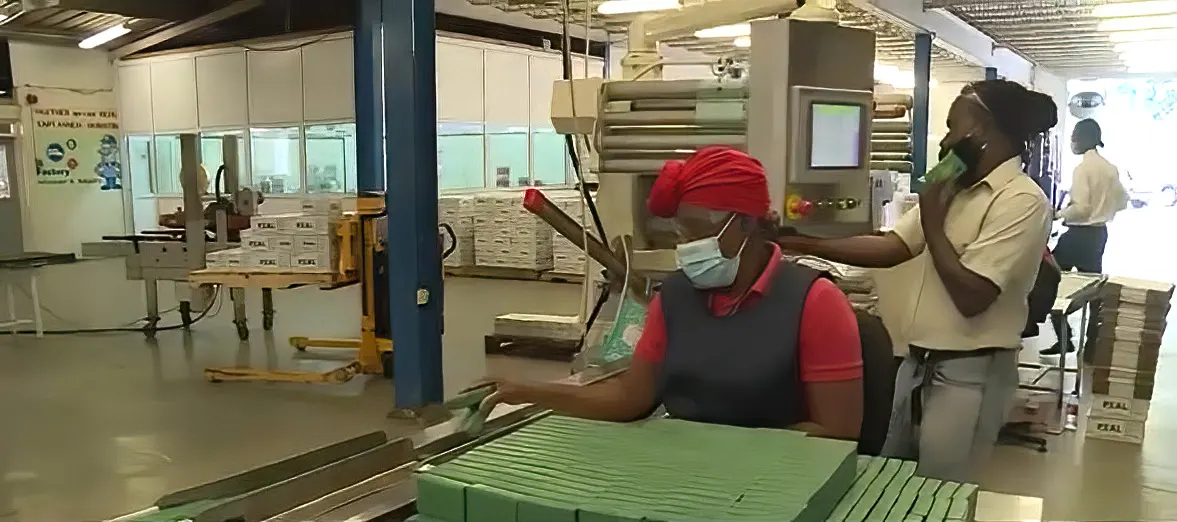 Dominica Coconut Products Factory Floor