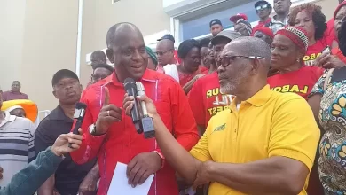 Roosevelt Skerrit Nomination Day