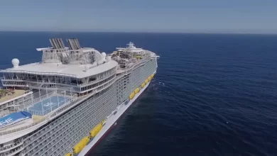 Cruise Ship on Sea