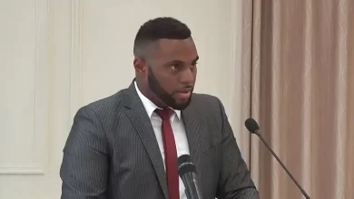 Hon. Cassani Laville