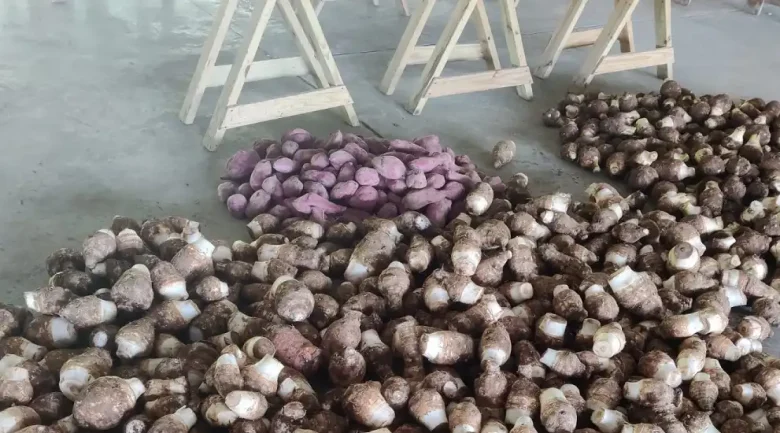 Root Vegetables