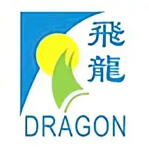 Dragon Windows