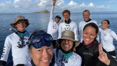 Dive Dominica