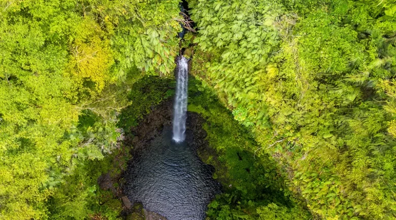 Natural Beauty of Dominica
