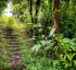 Eco-Tourism Development Programme (ETDP)
